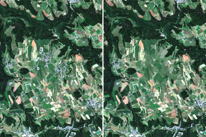 EO-Veracity-project-Luxembourg-fields_960640